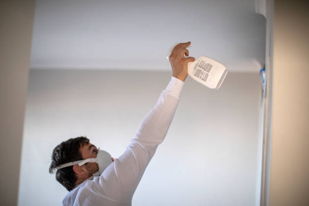 Best Toxic Mold Removal  in Humboldt, IA